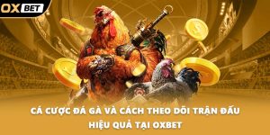 Cá cược đá gà