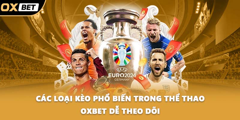 Các loại kèo phổ biến trong thể thao OXBET dễ theo dõi