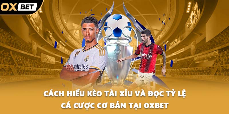 Cách hiểu kèo tài xỉu và đọc tỷ lệ cá cược cơ bản tại OXBET
