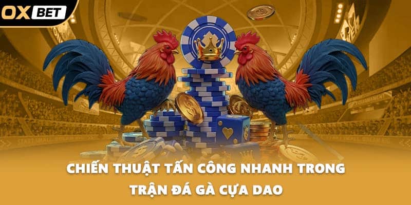 Chiến thuật tấn công nhanh trong trận đá gà cựa dao