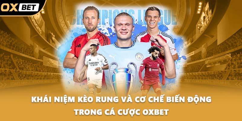 Khái niệm kèo rung và cơ chế biến động trong cá cược OXBET