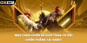 Mẹo chọn chiến kê