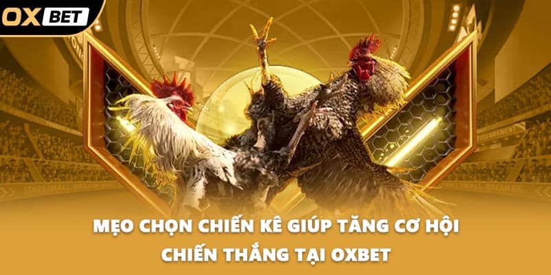 Mẹo chọn chiến kê