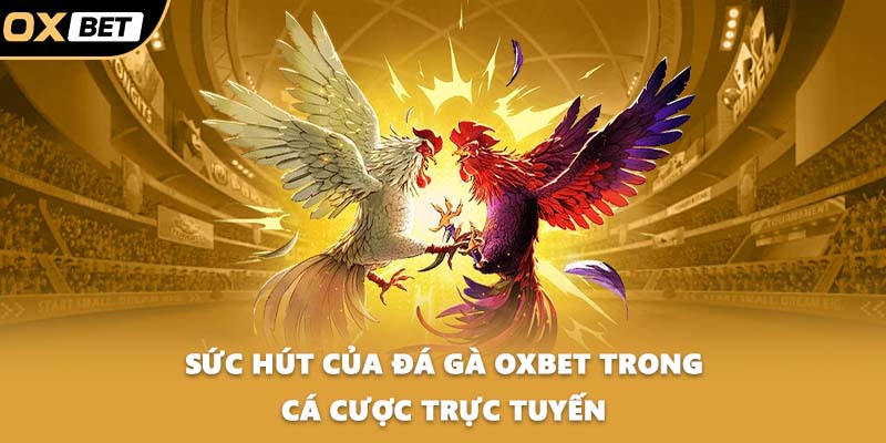 Sức hút của đá gà OXBET trong cá cược trực tuyến