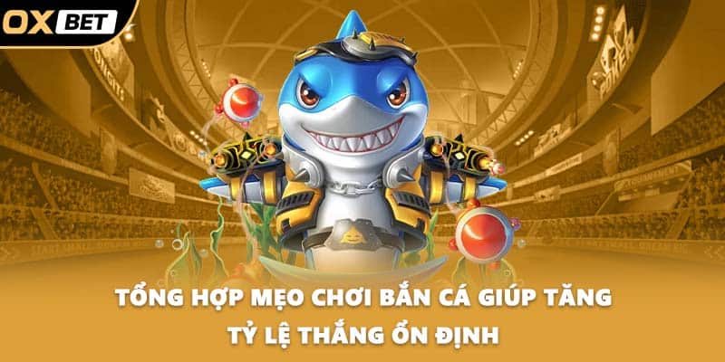 Tổng hợp mẹo chơi bắn cá giúp tăng tỷ lệ thắng ổn định