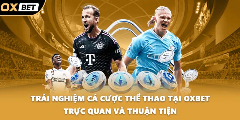 Trải nghiệm cá cược thể thao tại OXBET trực quan và thuận tiện