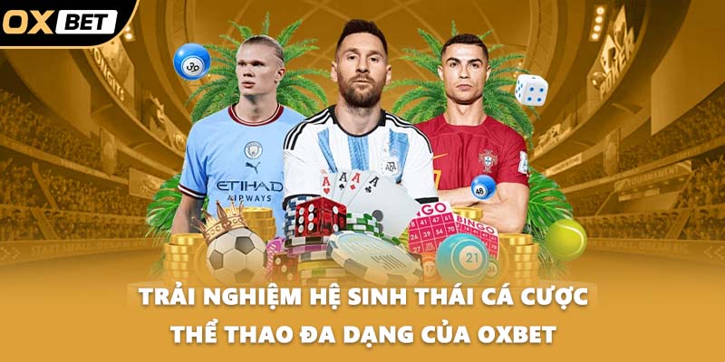 Trải nghiệm hệ sinh thái cá cược thể thao đa dạng của OXBET