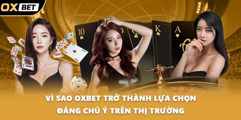 Vì sao OXBET trở thành lựa chọn đáng chú ý trên thị trường